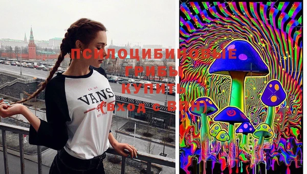 apvp Алзамай