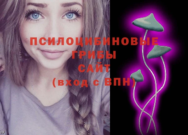 прущие крисы Алексин