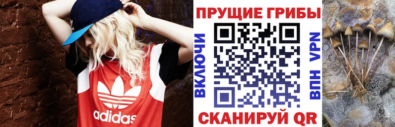 Галлюциногенные грибы мухоморы  Бобров 