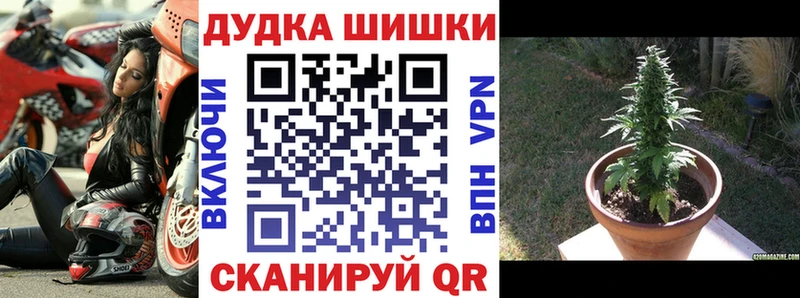 Конопля Amnesia купить закладку Бобров